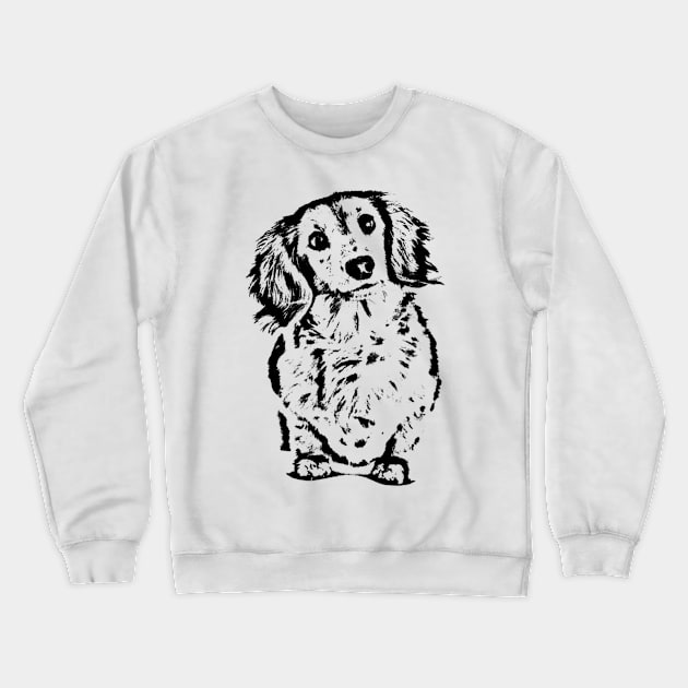 Long Haired Dachshund Sketch Crewneck Sweatshirt by Xamgi